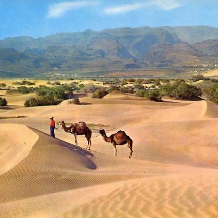דירות פאטלוואקה Donana 1109 מראה חיצוני תמונה